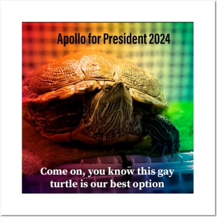 Gay Apollo 2024 Posters and Art